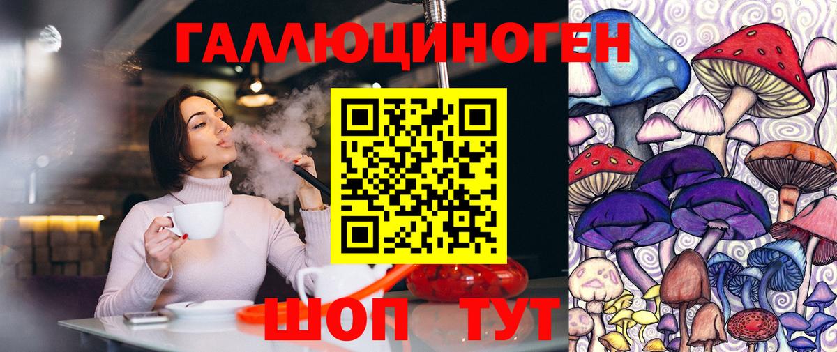 Галлюциногенные грибы Cubensis  Вход с VPN  Сокол 